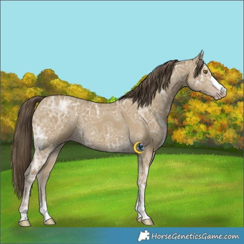 Horse Color:Classic Cream Champagne Ice 