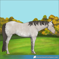 Horse Color:Classic Cream Champagne Ice Roan 