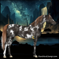 Horse Color:White Spotted Liver Chestnut Ice 