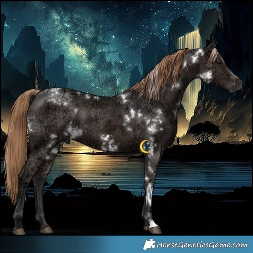 Horse Color:White Spotted Liver Chestnut Ice