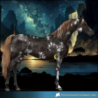 Horse Color:White Spotted Liver Chestnut Ice
