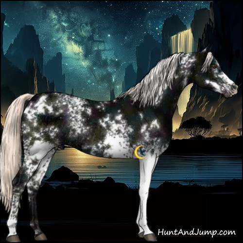 Horse Color:White Spotted Midnight Liver Chestnut Ice Mushroom Rabicano 