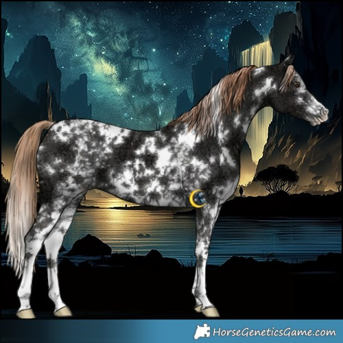 Horse Color:White Spotted Liver Chestnut Ice