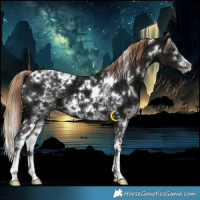 Horse Color:White Spotted Liver Chestnut Ice 