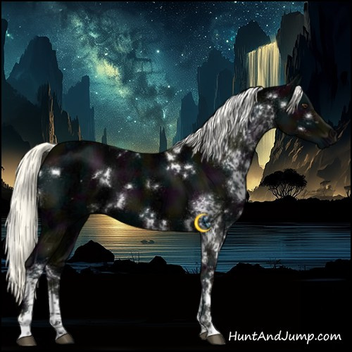 Horse Color:White Spotted Midnight Liver Chestnut Ice Mushroom
