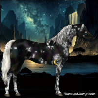 Horse Color:White Spotted Midnight Liver Chestnut Ice Mushroom 