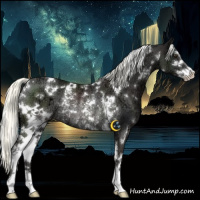 Horse Color:White Spotted Liver Chestnut Ice Mushroom Sabino Rabicano 