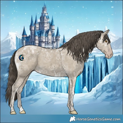 Horse Color:Classic Cream Champagne Ice 