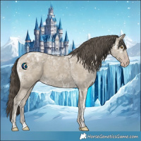 Horse Color:Classic Cream Champagne Ice 