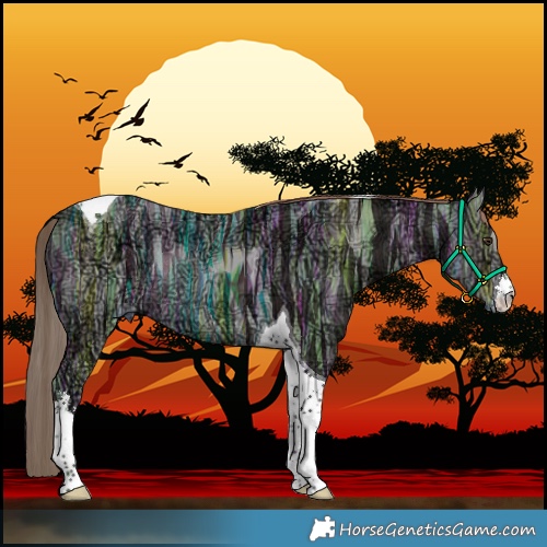 Horse Color:White Spotted Liver Chestnut Ice Tobiano Rabicano 