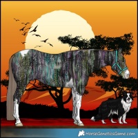 Horse Color:White Spotted Liver Chestnut Ice Tobiano Rabicano