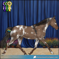 Horse Color:White Spotted Liver Red Dun 