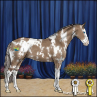 Horse Color:White Spotted Liver Red Dun Splash