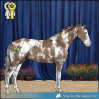 Horse Color:White Spotted Liver Red Dun Splash 