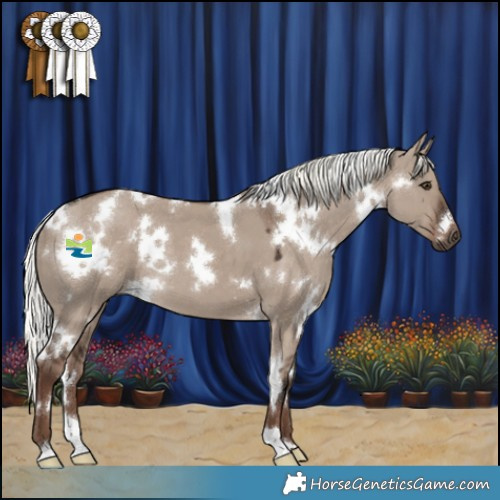 Horse Color:White Spotted Liver Red Dun Mushroom 