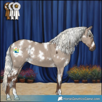 Horse Color:White Spotted Liver Red Dun Mushroom