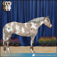 Horse Color:White Spotted Liver Red Dun Mushroom