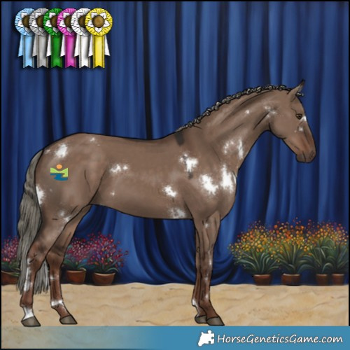 Horse Color:White Spotted Liver Red Dun Mushroom 