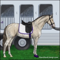 Horse Color:Classic Cream Champagne Ice 
