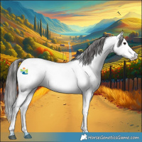 Horse Color:Black Sabino Appaloosa 