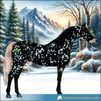 Horse Color:Chestnut Ice Splash Near Leopard 