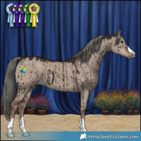 Horse Color:Liver Red Dun Mushroom Brindle 