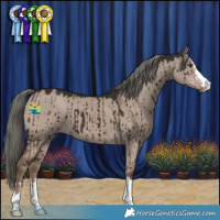 Horse Color:Liver Red Dun Mushroom Brindle