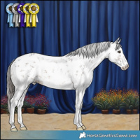 Horse Color:White Spotted Liver Chestnut Sabino