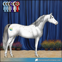 Horse Color:White Spotted Liver Red Dun Sabino