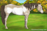 Horse Color:Classic Cream Champagne Ice Frame 