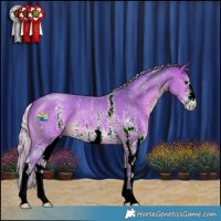 Horse Color:Watercolor Silver Bay Sabino 