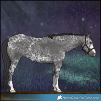 Horse Color:Smoky Black Ice 