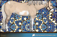 Horse Color:Silver Bay Dun Sabino Tobiano Frame Rabicano 