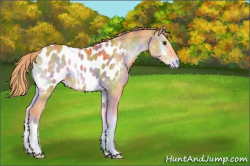 Horse Color:Nacre Watercolor Red Onyx Appaloosa 