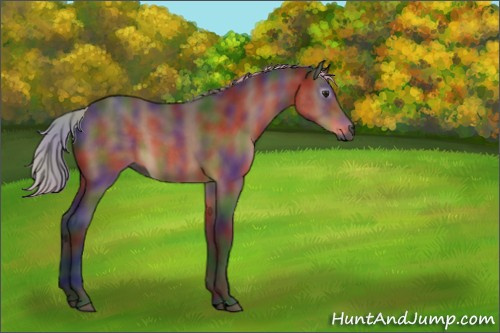 Horse Color:Gray Nacre Silver Bay 