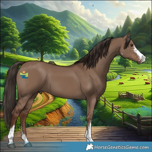 Horse Color:Liver Red Dun Sabino 