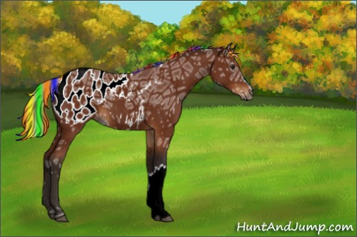 Horse Color:Gray Painted Silver Bay Ice Appaloosa 