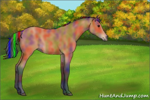 Horse Color:Painted Nacre Bay 