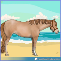 Horse Color:Chestnut Pearl 