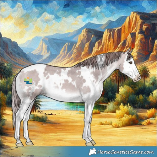 Horse Color:Platinum White Spotted Chocolate Bay Dun Splash Appaloosa 