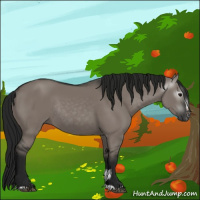 Horse Color:Gray Grullo Sabino Rabicano 