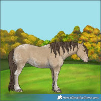 Horse Color:Classic Cream Champagne Ice
