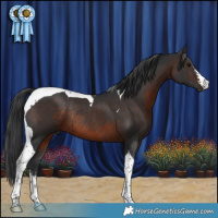 Horse Color:White Spotted Brown Tobiano Rabicano