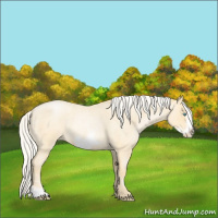 Horse Color:Silver Smoky Blue Roan Pearl Frame