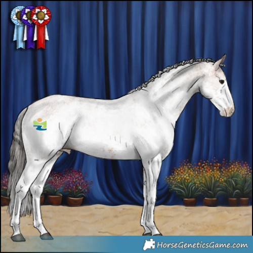 Horse Color:White Spotted Bay Sabino 