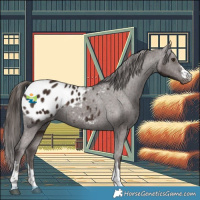 Horse Color:Liver Chestnut Appaloosa 