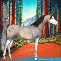 Horse Color:Buckskin Roan Splash 