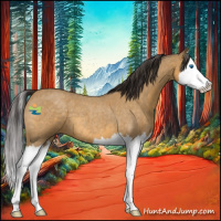 Horse Color:Buckskin Roan Splash