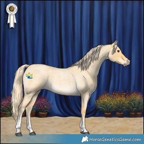 Horse Color:Palomino Roan Dun Tobiano 