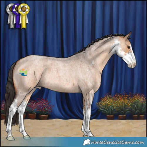 Horse Color:Bay Roan Dun Sabino 
